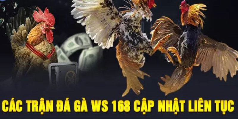 WS168 là đối tác đáng tin cậy tham gia hợp tác cùng sảnh đá gà online